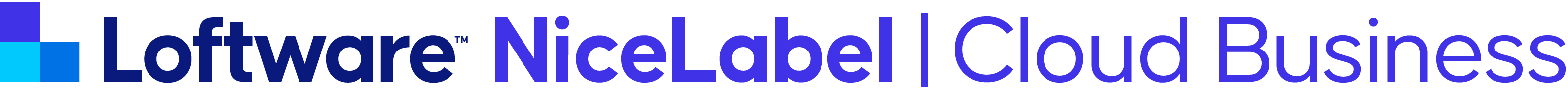 logo nicelabel cloud business